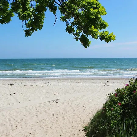Haus Inselwind Meerstrand Mit Schwimmbad Und Saunanutzung Im Ahoi-erlebnisbad Sellin *