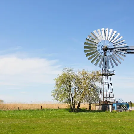Haus Inselwind Meerstrand Mit Schwimmbad Und Saunanutzung Im Ahoi-erlebnisbad Sellin